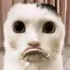 khocsub.hoasub
