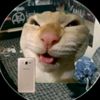 ppcdx7