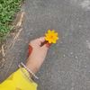 farha.akter.uttora