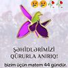 _terlan.003_