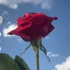 user6160656060847