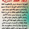 al2thbvflol