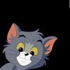 user8495246158619