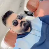القريشي سعد