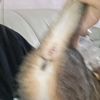 crybabyaomsin2516