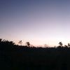 kalistamygril
