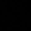 ilex.v