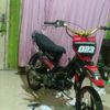 alfanda54