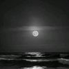 hanji_25692