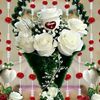 rawyahamed0