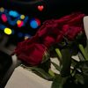 rayaandhool18