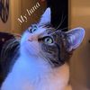 mylovelyluna1