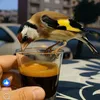 mouhamed1293
