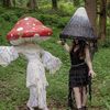 mushroomreader22