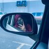 linaisyah6