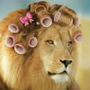 roar_with_flair