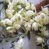 user8562472146181