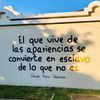 colochitaalvanez