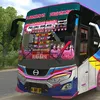 sankyubussid