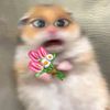 pecintamatcha001