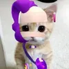 luchy_145