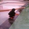 anhiek_alkhair