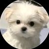 yeji_happy
