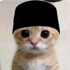 m_jamil_setiawan