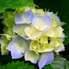 donnaanderson0692