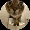 simaboy_simaboy0523