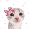 plink_1705