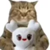 yunuxjtp07j