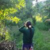 manishanp01