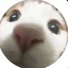 .rchyyiell0