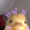 beus7812