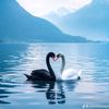 zaman.malik7579