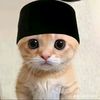 _abdul.rahman22