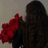 rwshanlbrahim1