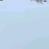 user8660816181882