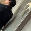 jun_jbobo