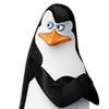 pingvinkowalski