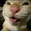 muhehehe224