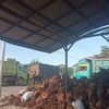 kernet.sawit