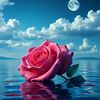 semkirli_qzz