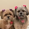abbygraceandcaseyleigh
