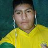limber93102508257721