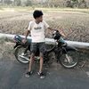 supra_berkah_mangga