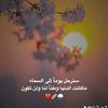 user34268003517308