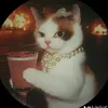 _debsjakes_