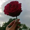user1967792967432